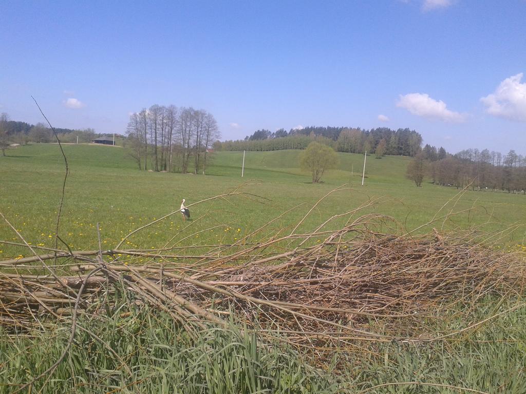 Uroczysko Deresze Villa Gilawy Exteriör bild